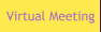 Virtual Meeting